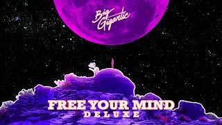 Big Gigantic - 'Free Your Mind (Feat. Jennifer Hartswick)' (Official Audio)