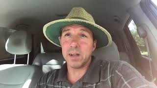 Sub Tropical Storm Alberto, Thoughts on Named Storms