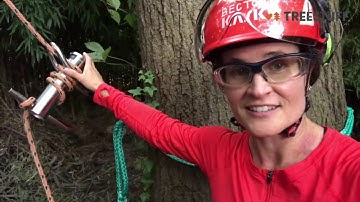 Notch Large Portawrap and Ultra Sling - Martha Becton