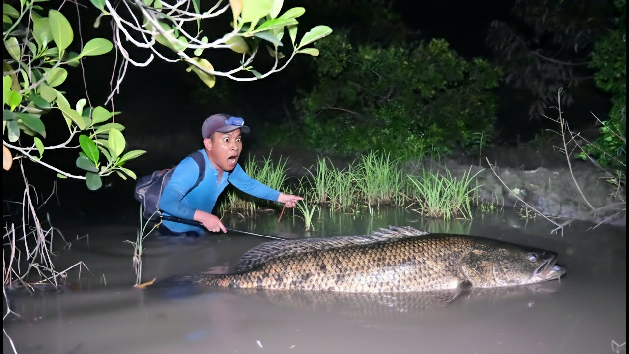Siệt đêm chạm mặt thủy quái to .quá khủng khiếp.rung cả tay chân .kích cá như vậy sách mõi tay