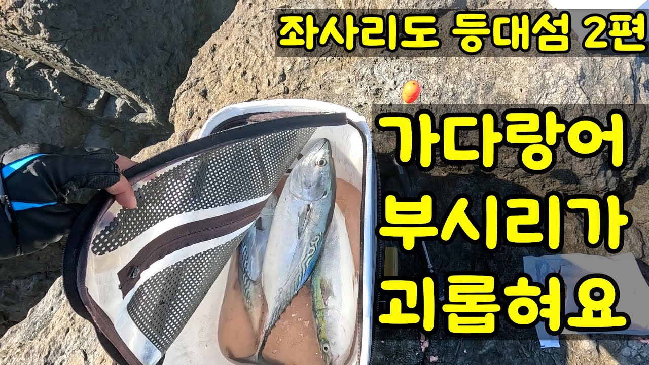 뺀찌는 무슨 부시리 폭격이네..