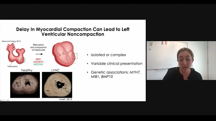 2021 MCHRI Symposium - Session 4, Casey Gifford, PhD
