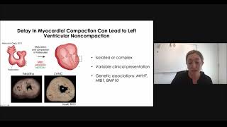 2021 MCHRI Symposium - Session 4, Casey Gifford, PhD