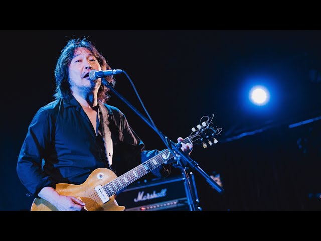 Sunny Day Service 恋におちたら（live）@ 20240719 Sunny Day Service
