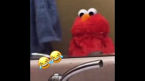 funny videos Elmo memes