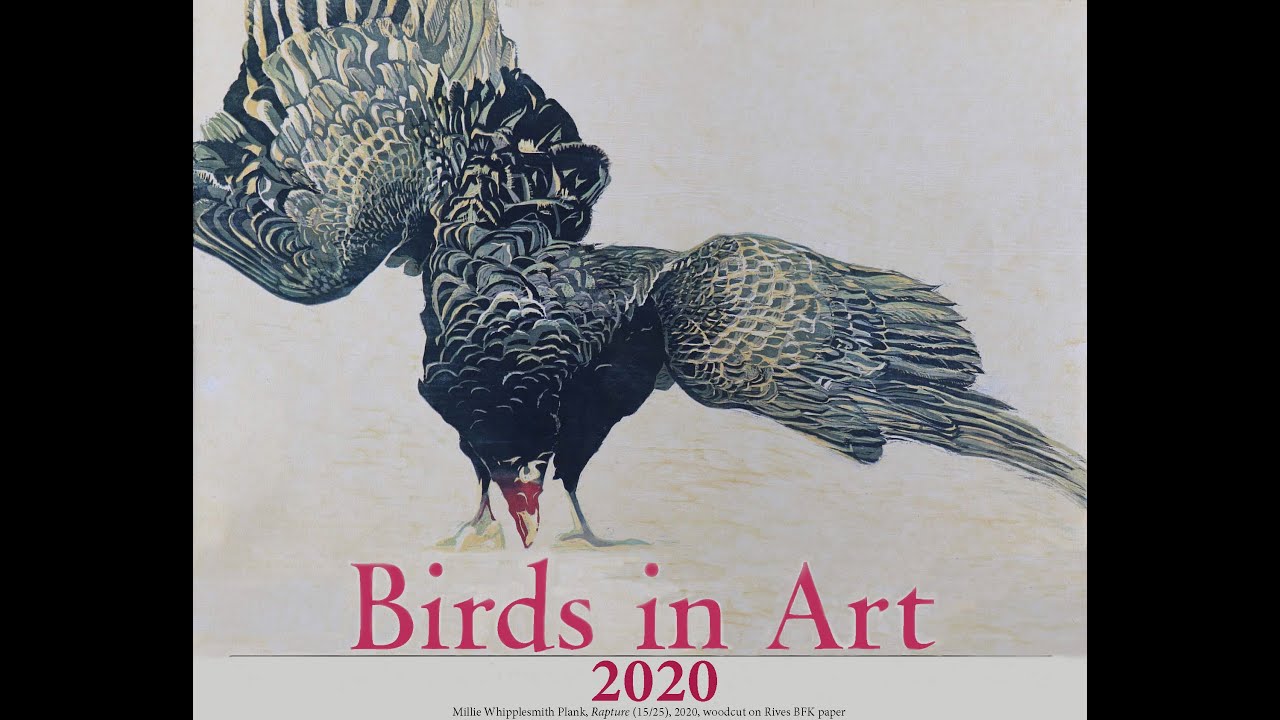 Millie Whipplesmith Plank on 