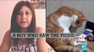 Hoax Alert This Cat Did Not Cuddle Up To A Video Of His Former Owner