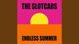 Surfin' Boy - The Slotcars