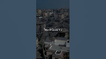 ولا تحسبن الله غافلا عما يعمل الظالمون #تلاوة - عبد الرحمن مسعد