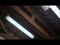 設備 内装 🚽 🚺 water closet サニタ 環境音 ASMR asmr Japanese toilet 2026年3月26日