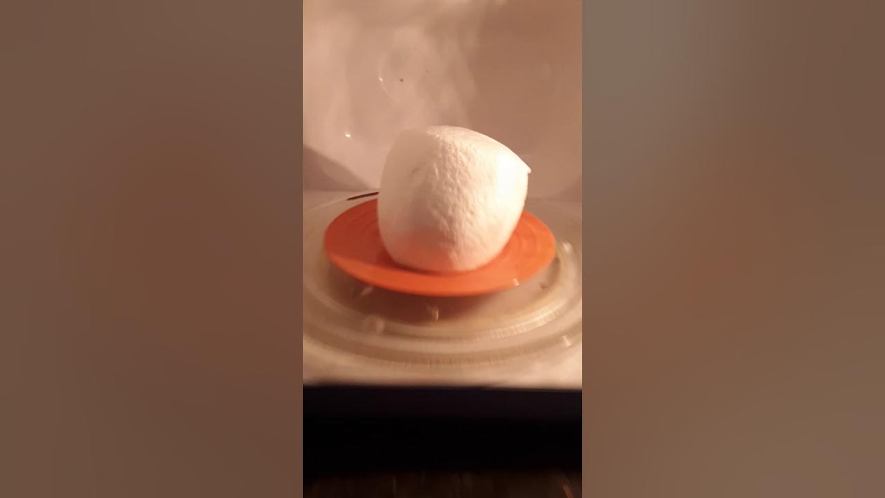 Microwaving a jumbo marshmallow YouTube