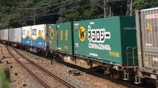 JR貨物 EF210-166牽引1050レ(ネコロジーコンテナあり) @山科 2013/09/06