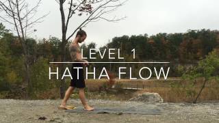 Level 1 - Quick-Paced Hatha Flow: Free Yoga Classes with Daniel Rama