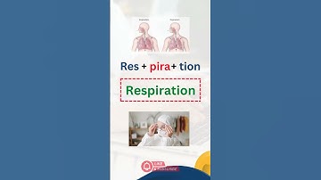 Mastering the Spelling of "Respiration" | Easy Tips & Dictation Practice