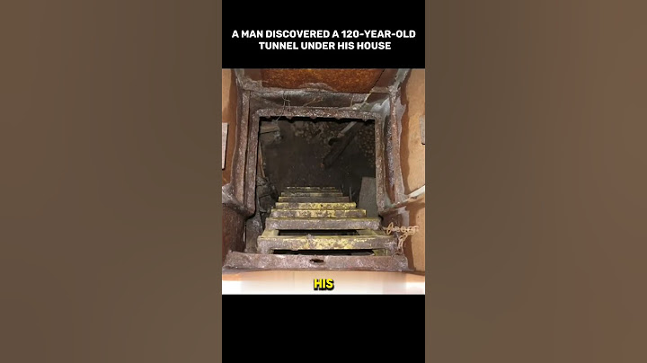 A man discovered an incredible artifact under his house #facts #ancient #ancienthistory #history