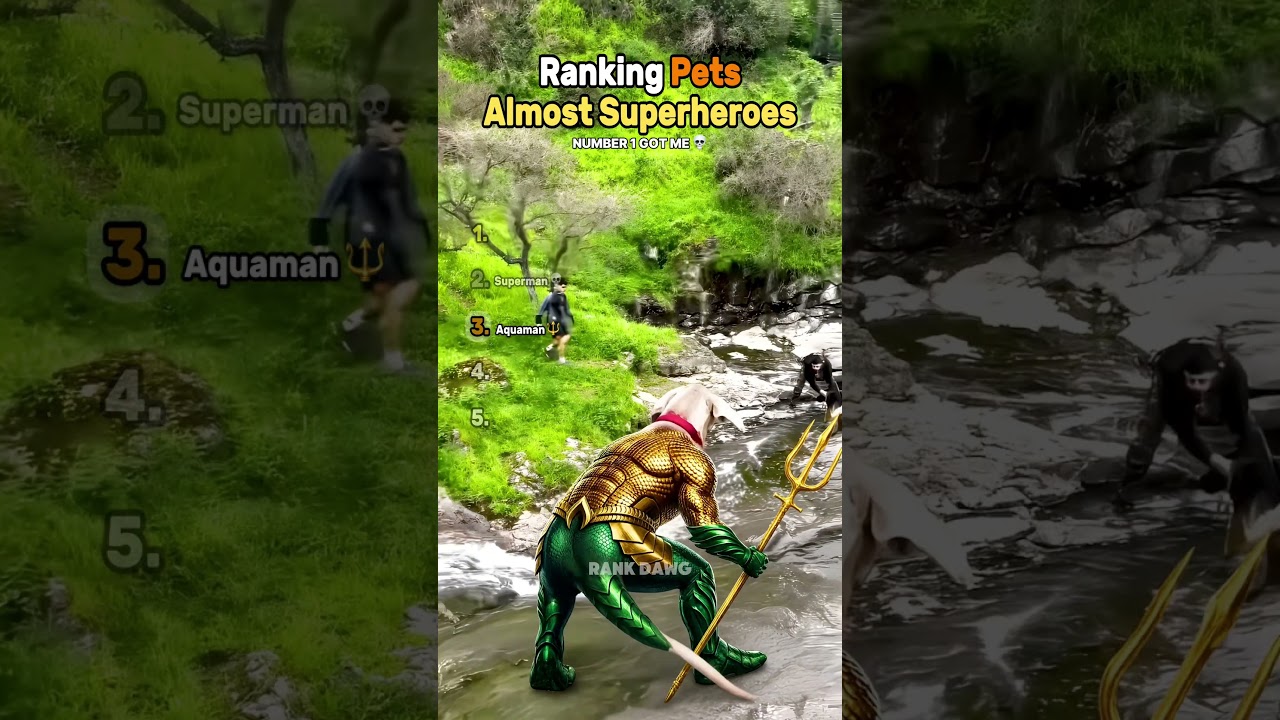 Ranking Pets Almost Superheroes (Part 2) 🦸‍♀️