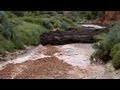 Large Flash Flood / Debris Flow Buckskin Wash / Gulch 2013