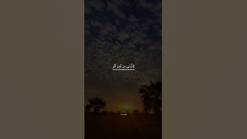 تلاوة جميلة ومؤثرة من سورة النمل اسلام صبحي  #اكسبلور #قرآن #quran #اسلام_صبحي #إسلامي #islamic