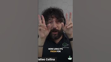 Caching Data: Understanding Content and Metadata #shorts