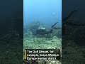 The Hidden World of Ocean Currents