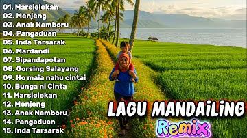 Manjojor ke desa BATANG GADIS | Lagu mandailing remix terbaru 2025 paling banyak di cari
