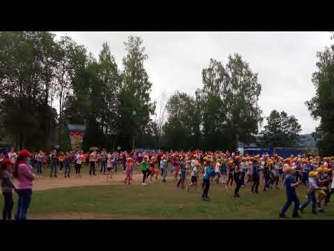 Дол маяк колоскова