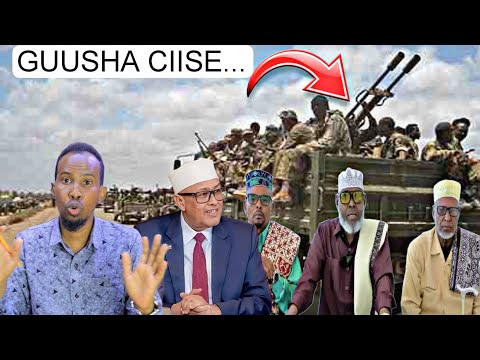 Daawo Samaroon Oo Borama Saylac Kala Garan Waayay Ciise Oo Guul Wayn Ku Seexday Daawo Samaroon Oo Borama Saylac Kala Garan Waayay Ciise Oo Guul Wayn Ku Seexday