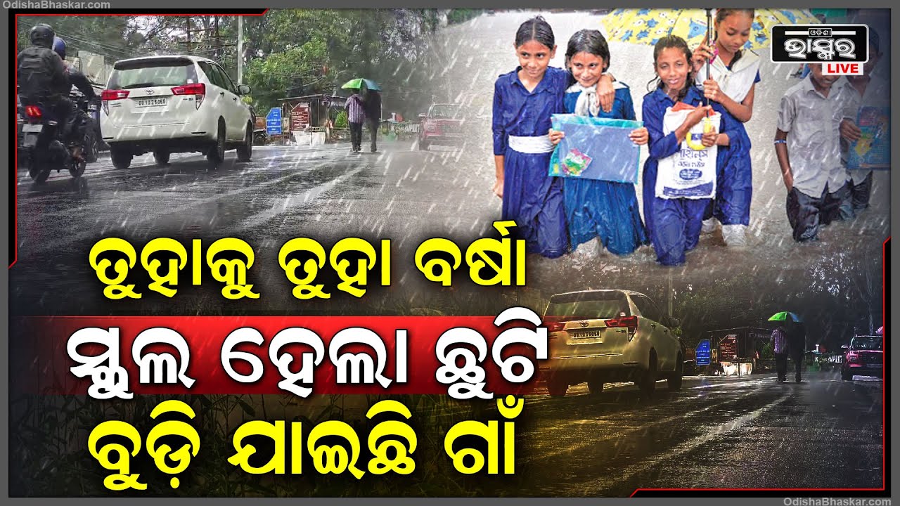 ତୁହାକୁ ତୁହା ବର୍ଷା ଜିଲ୍ଲା ପ୍ରଶାସନ କଲେ ସ୍କୁଲ ଛୁଟି ପାଇଁ ଘୋଷଣା... ବର୍ଷା ନଛାଡ଼ିଲା ଯାଏ ସ୍କୁଲ ଛୁଟି ରହିବ...