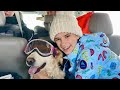 What happened to Karolina Protsenko&#39;s dog 🐶🐕  - Our Family Vacation ❤️