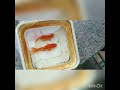 Goldfish Male vs Female 🐟