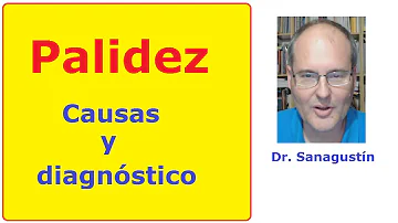 ¿Qué carencia provoca la palidez de la piel?