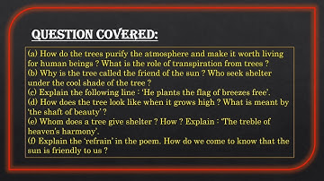 The Heart of the tree workbook Solutions | Treasure Trove workbook answer