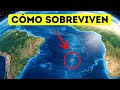 Cómo Lucen Realmente los Lugares más Aislados del Mundo