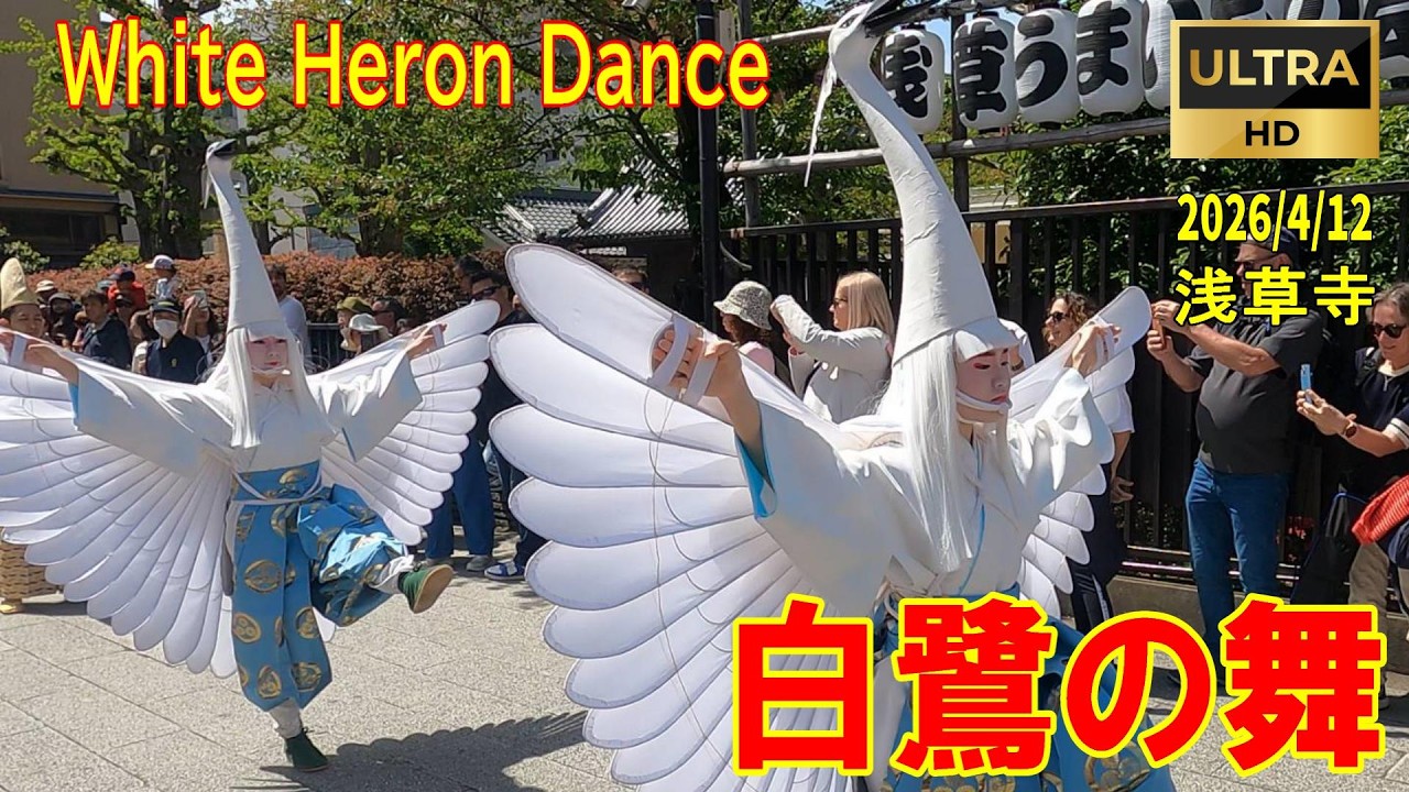 2026/4/12 浅草寺 白鷺の舞『White Heron Dance Senso-ji Temple