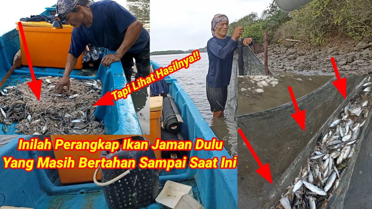 Perahuku Dipenuhi Udang Dan Ikan!! Rejeki Melimpah Perangkap Ikan Tradisional Nelayan Cilacap