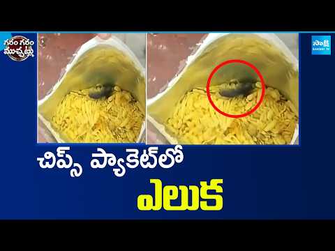 చిప్స్ ప్యాకెట్ లో ఎలుక | Rat Found In Chips Packet | Garam Garam Varthalu | Sakshi TV - SAKSHITV
