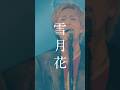 この時期にぴったりな曲❄️ヤングスキニー / 雪月花 #ヤングスキニー #雪月花 #ライブ映像
