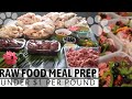 RAW DOG FOOD RECIPE | Meal prep under $1 per lb
