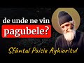 De unde ne vin pagubele  sf paisie aghioritul