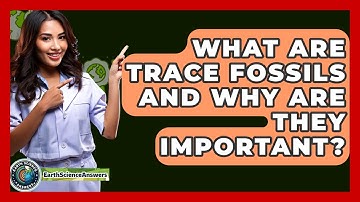 What Are Trace Fossils And Why Are They Important? - Earth Science Answers