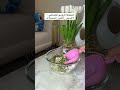 خلطة رومي ادخلو وشاركو فامسابقة اكسبلور متابعه اكسبلور وصفات دايت Food أنوثة