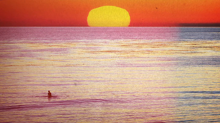 The Hoffman's Cushe Life - The Birth of Surf Fashion