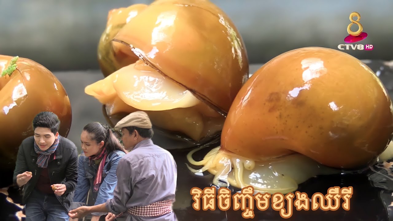 បច្ចេកទេសចិញ្ចឹមខ្យងឈឺរី (ខ្យងមាសជប៉ុន) នៅកសិដ្ឋាន២២៨