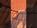 Roof Tile Joint Sealing Work 🔧 | Leak-Proof Waterproofing