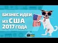 Бизнес идеи из США 2017 года. Новые идеи для малого бизнеса