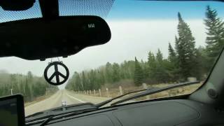 Hundreds of miles of dead trees hwy to North Bay - Across Canada Road Trip Reports