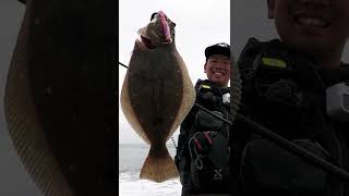 肉厚ヒラメの釣り方 釣り方
