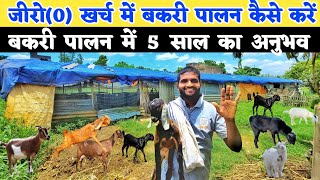 जीरो(0) खर्च में बकरी पालन कैसे करें | bakri palan se kitna fayda hota hai | Goat farming