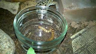 Son Q.i Est Défini Sur Lensemble Vide