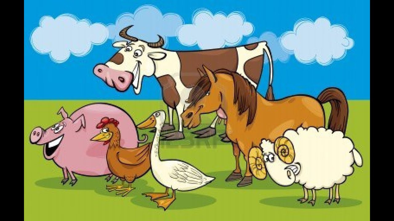 clipart gratuit animaux de la ferme - photo #27